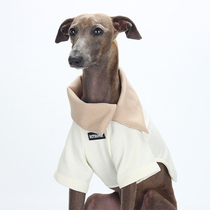 BITEONE Understated and Elegant Top