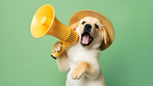 Set for display effect