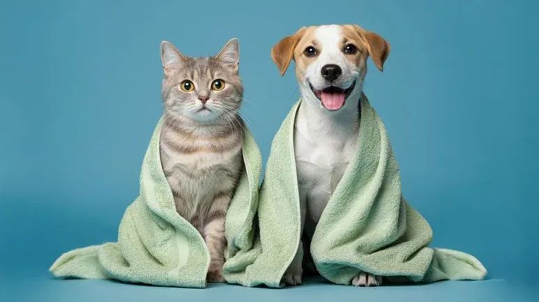 Set for display effect