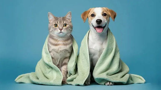 Set for display effect