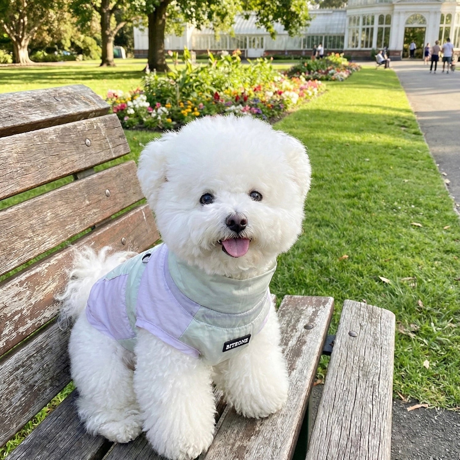 2025 Spring & Summer