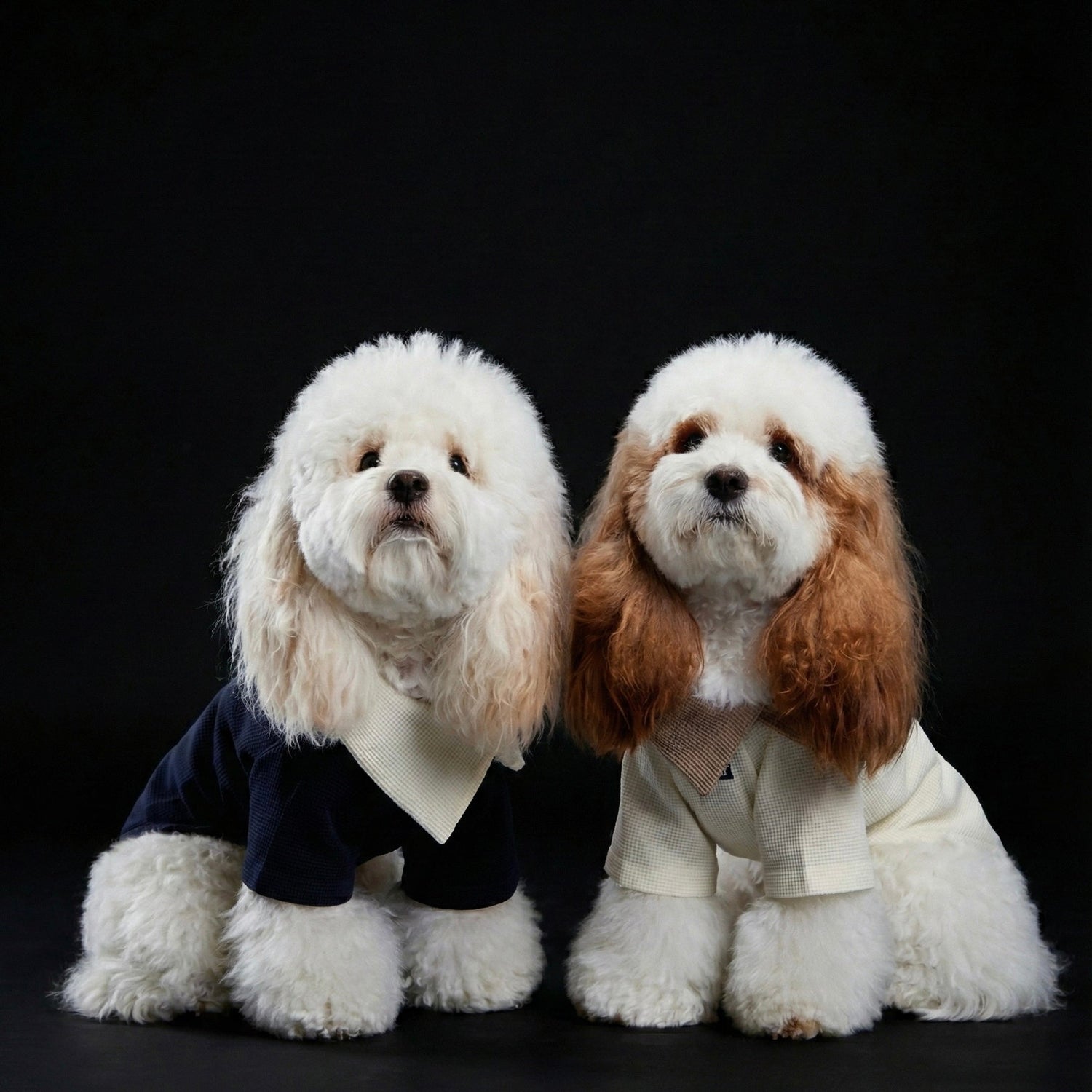 2025 Autumn & Winter