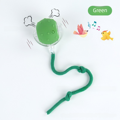 Automatic Cat Teaser Ball