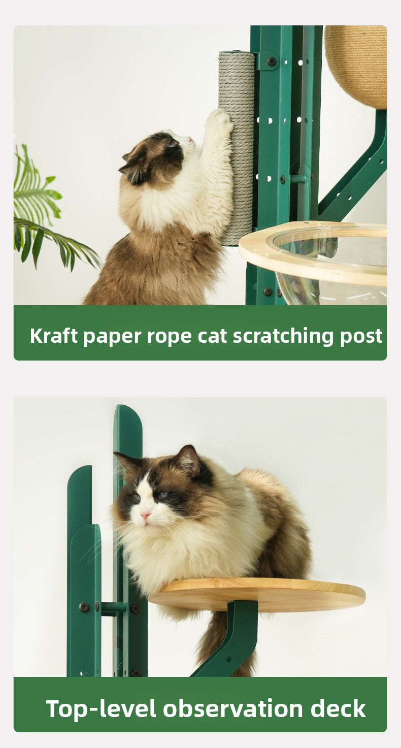 Cactus Solid Wood Cat Nest Tree