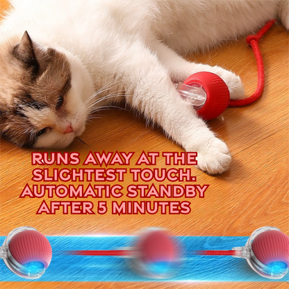 Automatic Cat Teaser Ball