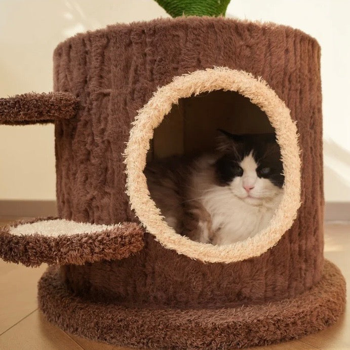Cat Tree House