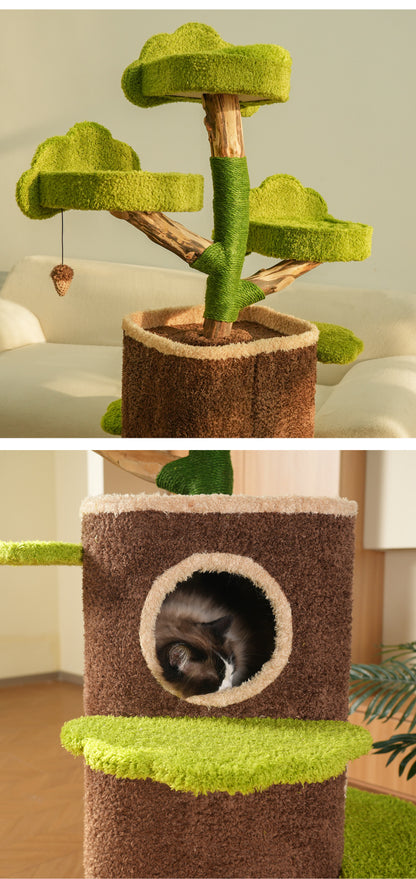 Cat Tree House