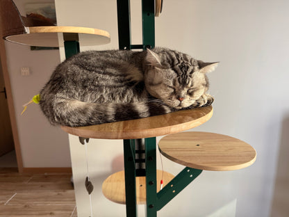 Cactus Solid Wood Cat Nest Tree