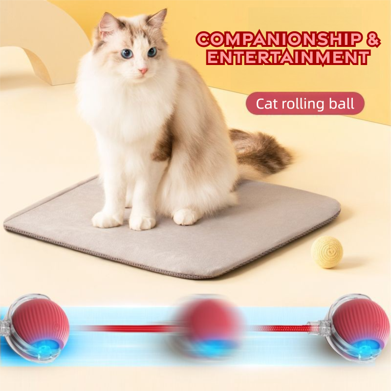 Automatic Cat Teaser Ball