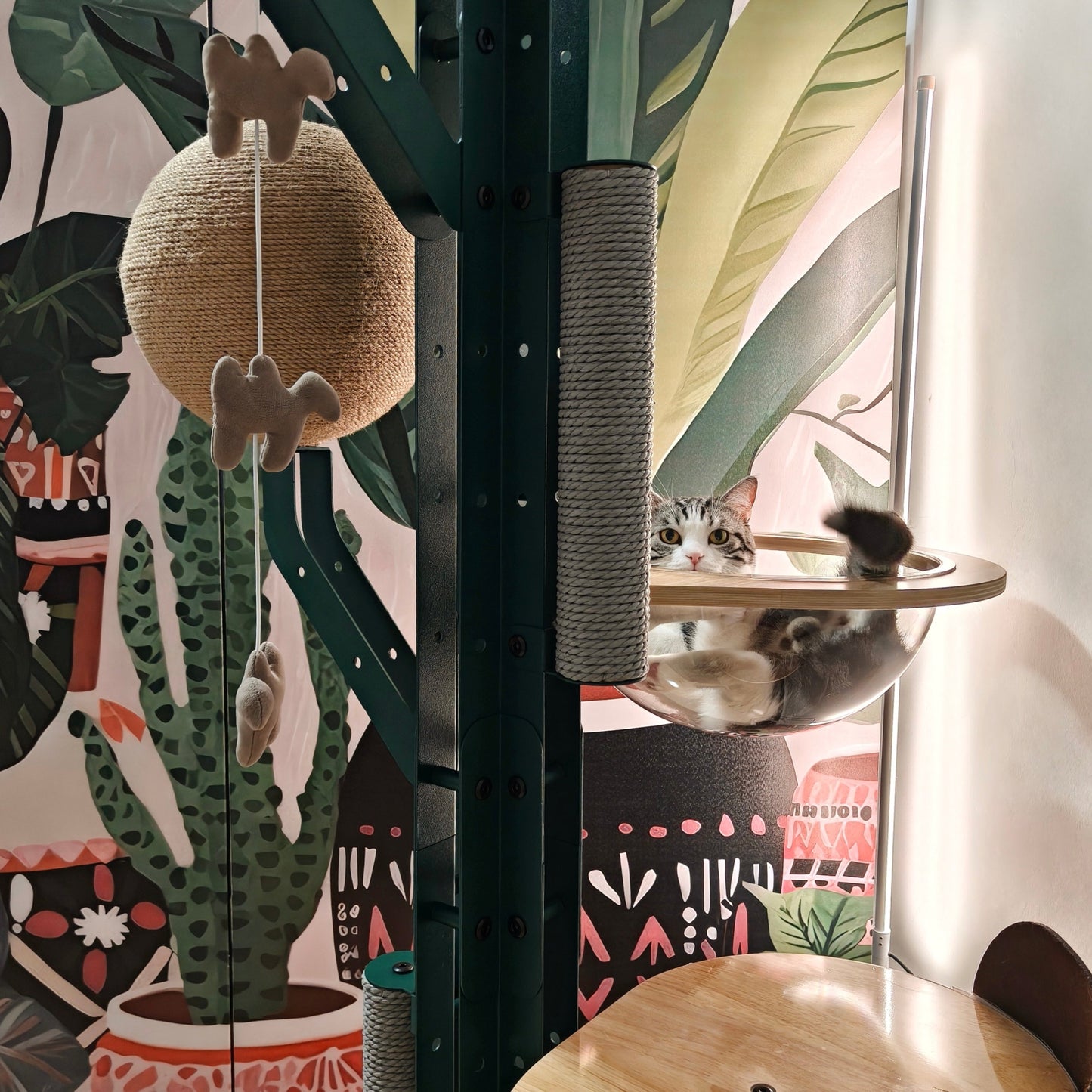 Cactus Solid Wood Cat Nest Tree