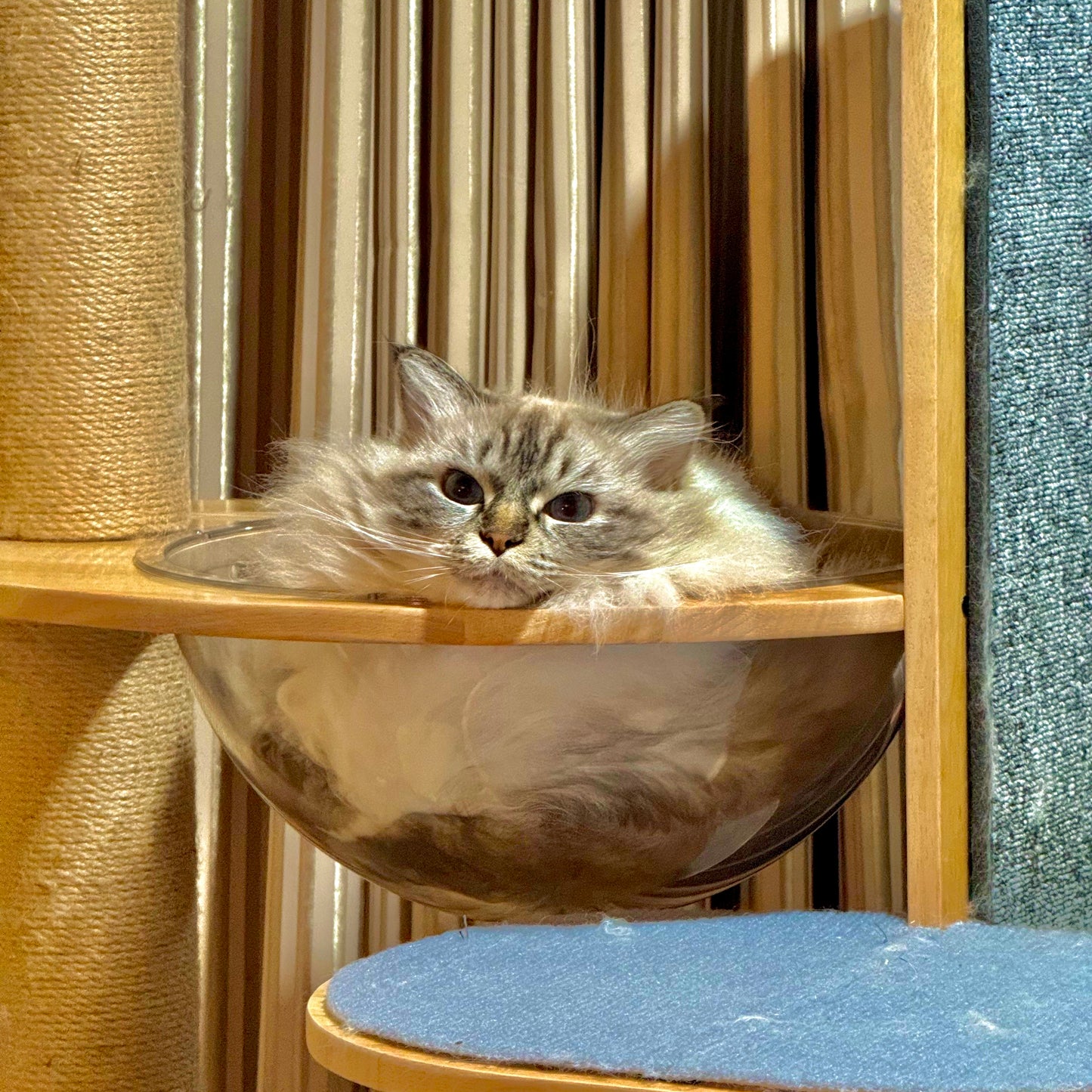 Large Multi-layer Cat Tree Toy Integrated Cat Climbing Frame