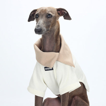 BITEONE Understated and Elegant Top