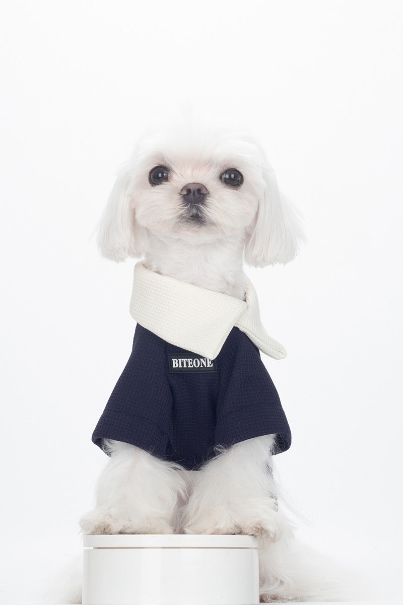 BITEONE Understated and Elegant Top