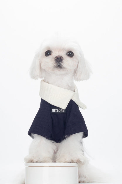 BITEONE Understated and Elegant Top