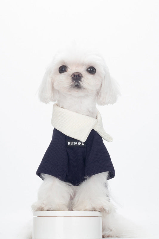 BITEONE Understated and Elegant Top