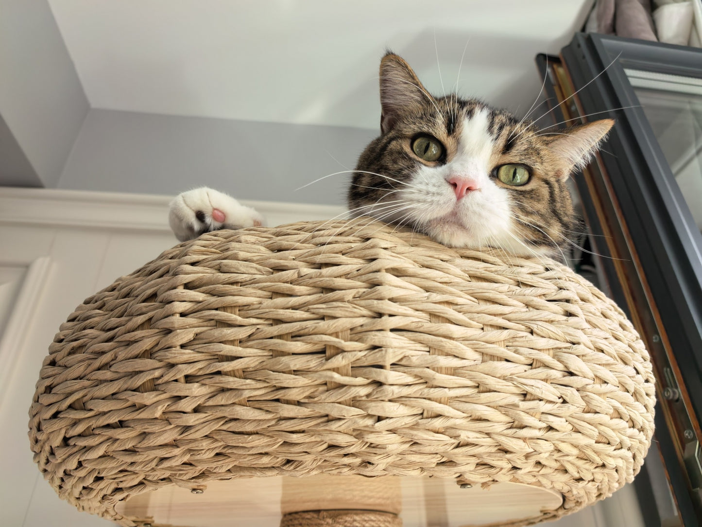 Large Multi-layer Cat Tree Toy Integrated Cat Climbing Frame