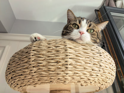 Large Multi-layer Cat Tree Toy Integrated Cat Climbing Frame