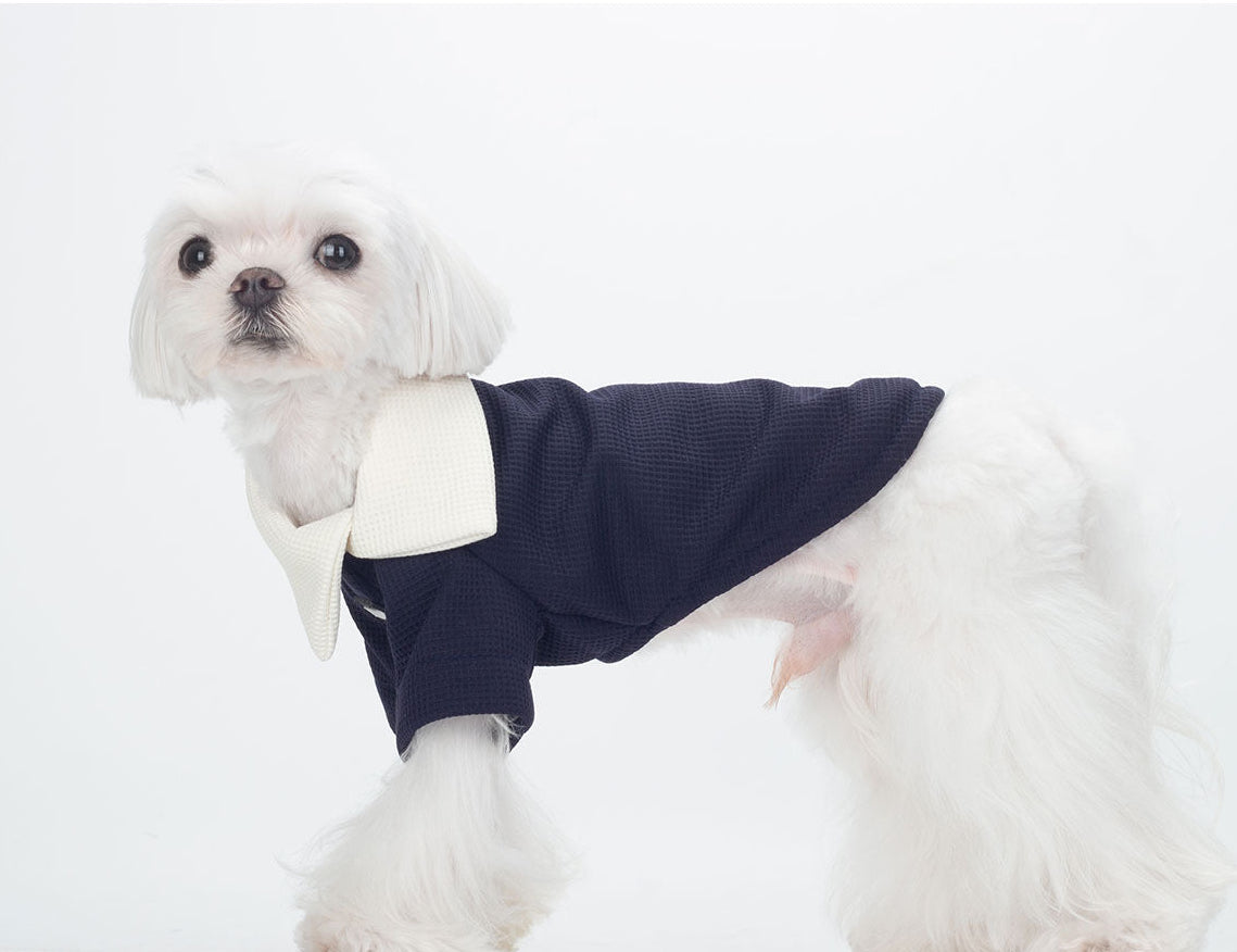 BITEONE Understated and Elegant Top