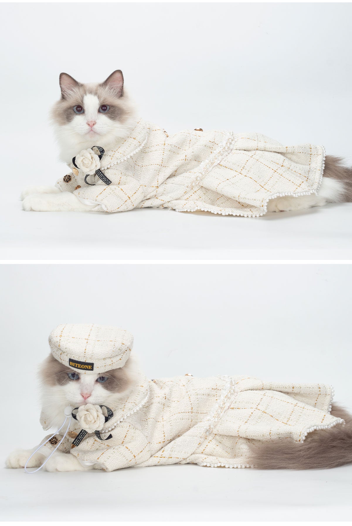 BITEONE Gilded Banquet