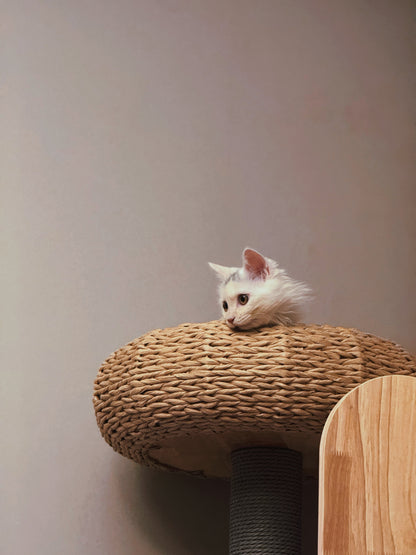 Large Multi-layer Cat Tree Toy Integrated Cat Climbing Frame