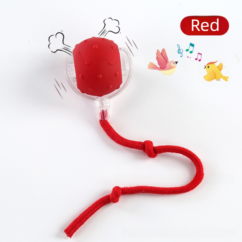 Automatic Cat Teaser Ball