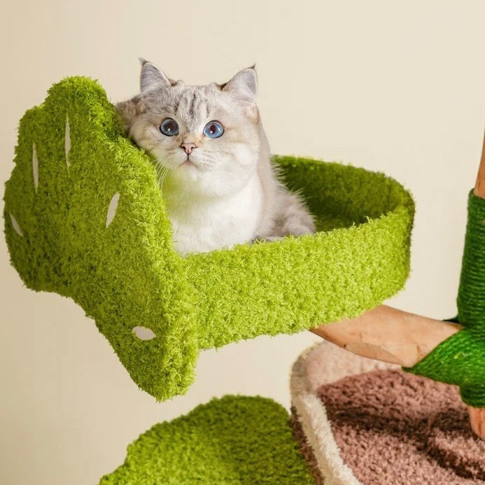 Cat Tree House