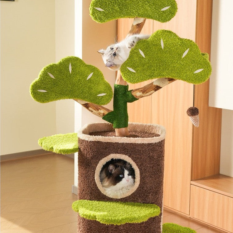 Cat Tree House