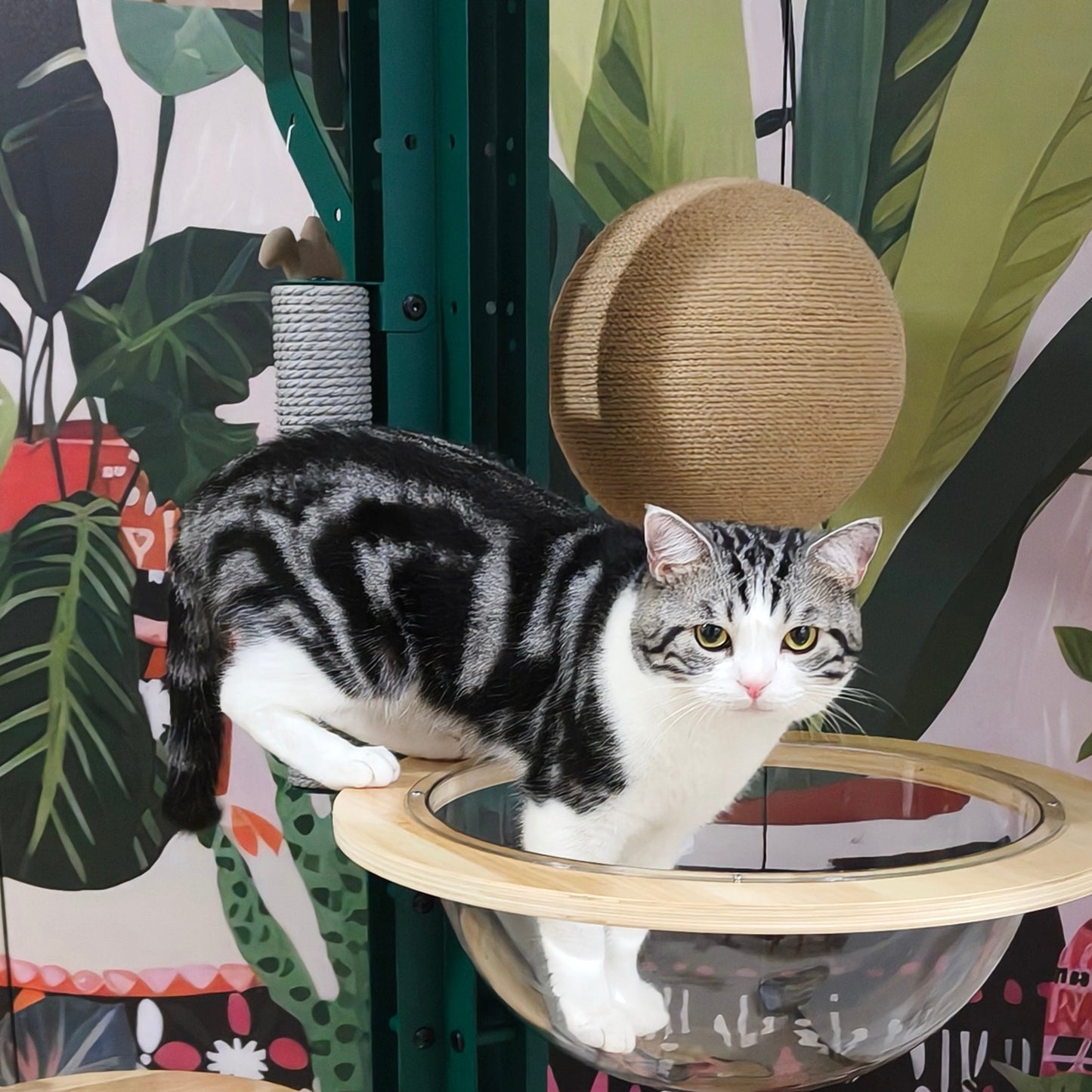 Cactus Solid Wood Cat Nest Tree